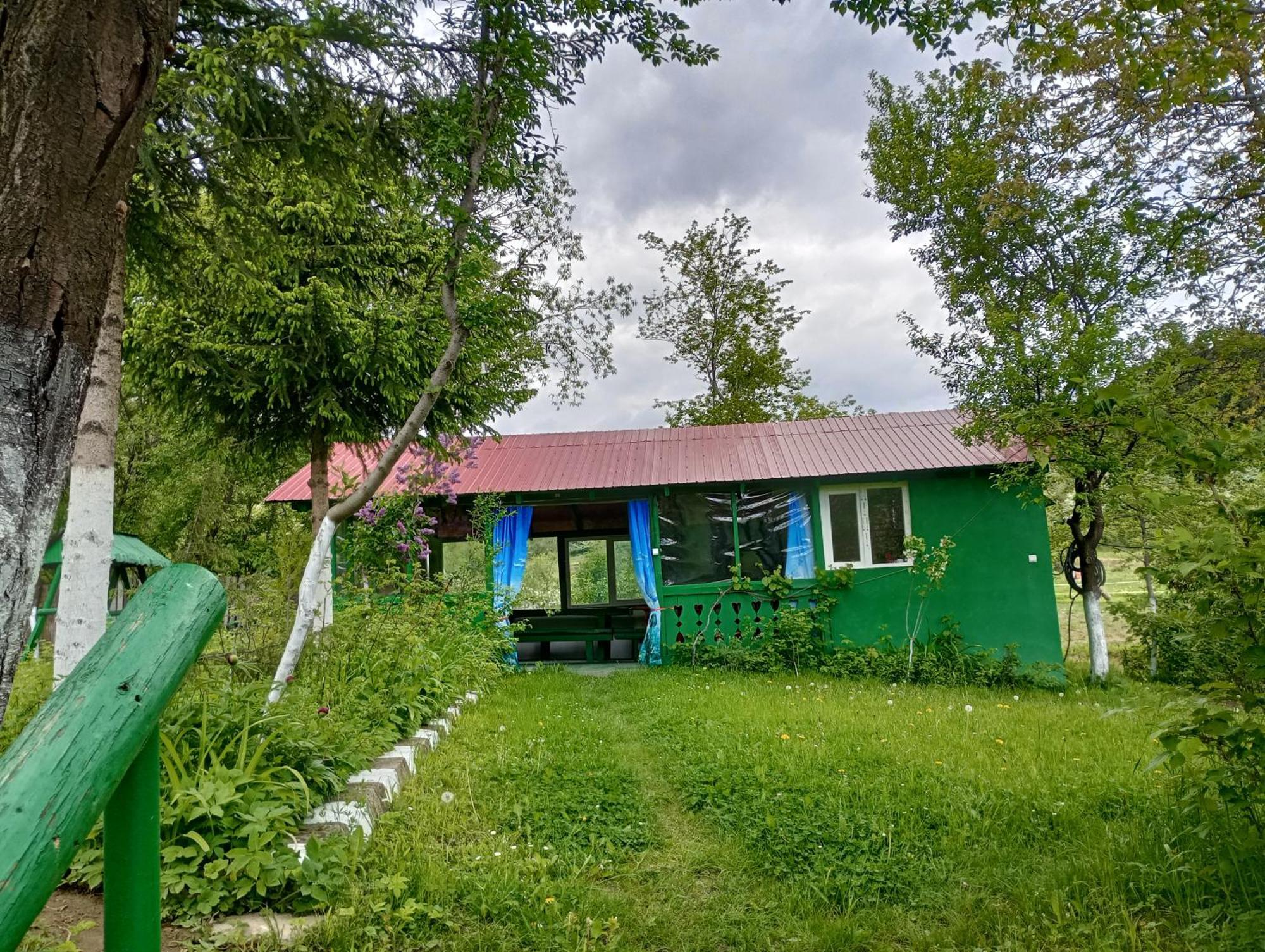 Pensiunea Irina 1 Si 2 Zărneşti Exterior foto